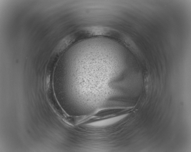 X0000079330406200612011913