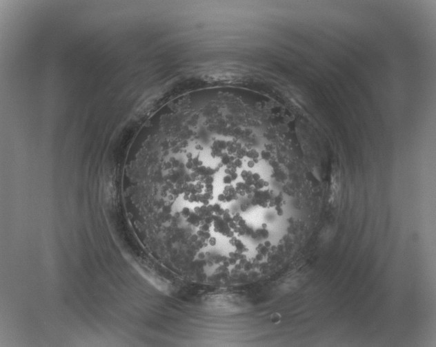 X0000079330408200612011913