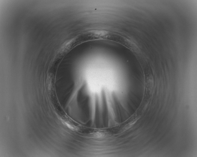 X0000079330412200612011913