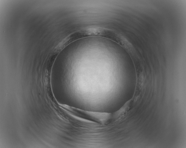 X0000079330413200612011913