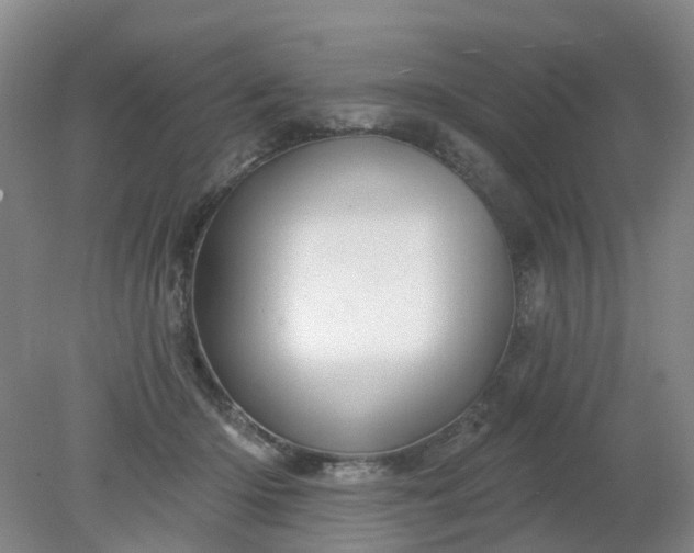 X0000079330414200612011913