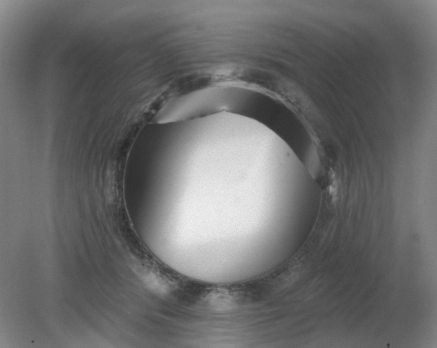 X0000079330416200612011913