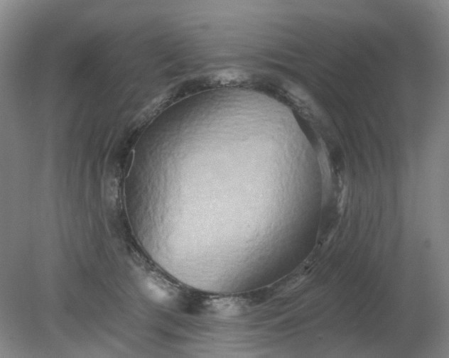 X0000079330417200612011913
