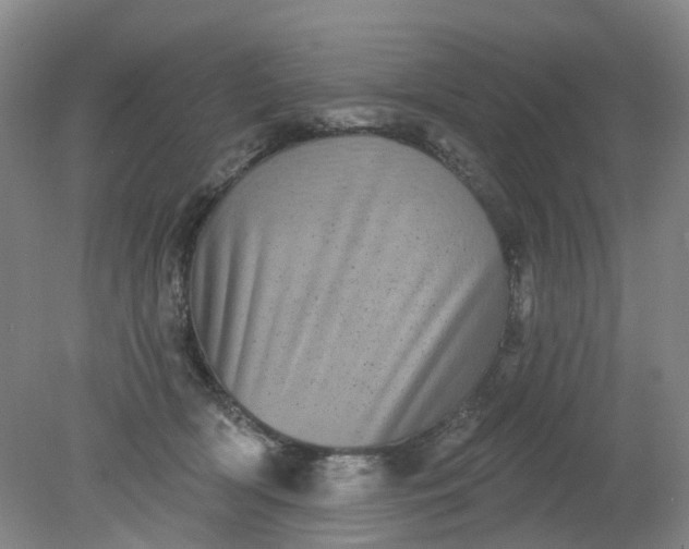 X0000079330418200612011913