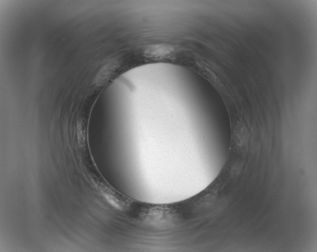 X0000079330420200612011913