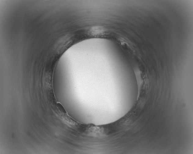 X0000079330421200612011913