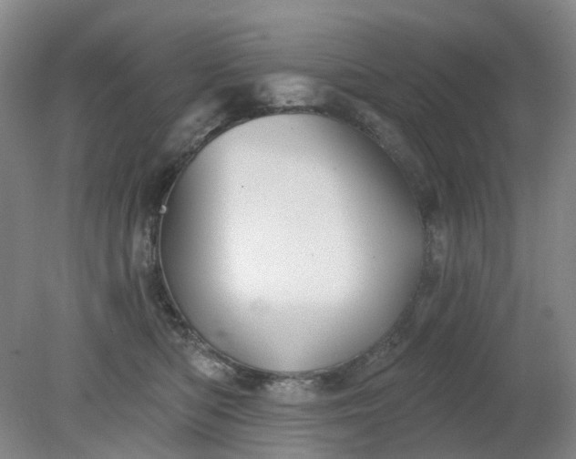 X0000079330422200612011913