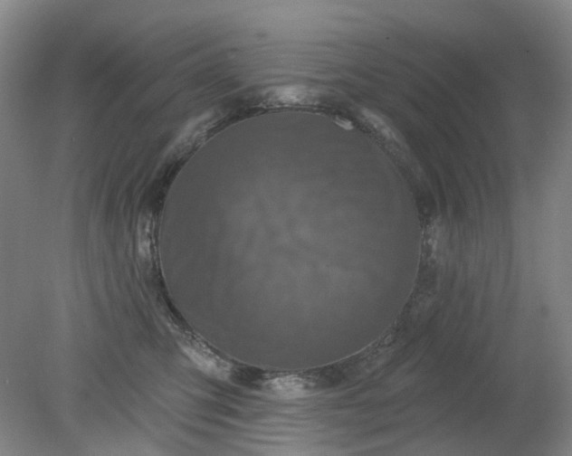 X0000079330423200612011913