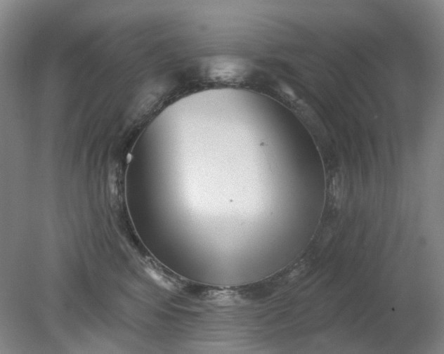X0000079330424200612011913