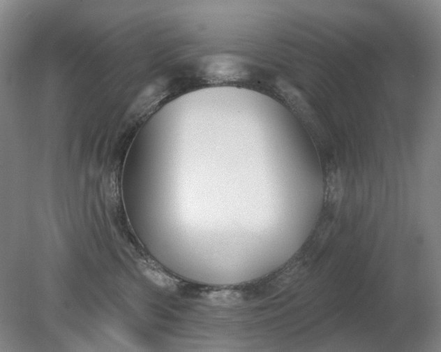 X0000079330426200612011913