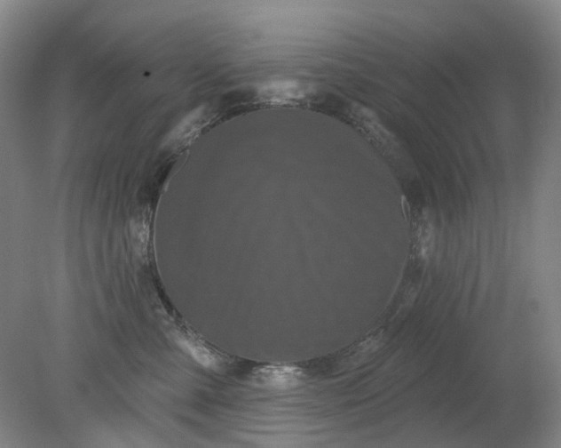 X0000079330427200612011913