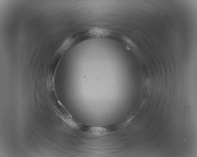 X0000079330429200612011913