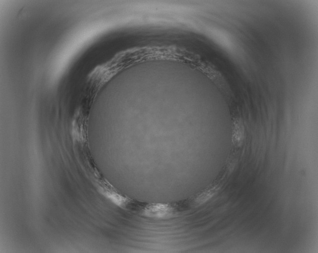X0000079330431200612011913