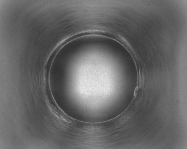 X0000079330435200612011912