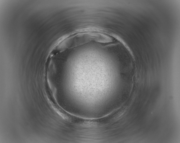 X0000079330437200612011912