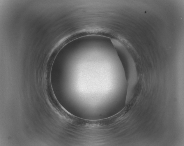 X0000079330440200612011912