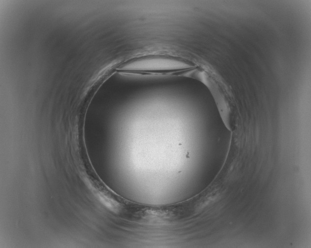 X0000079330442200612011912