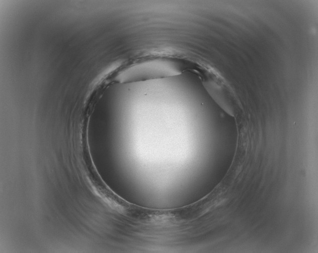 X0000079330446200612011912