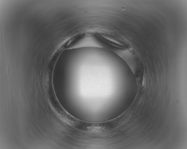 X0000079330448200612011912