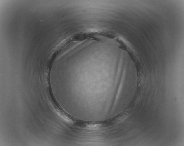 X0000079330450200612011912
