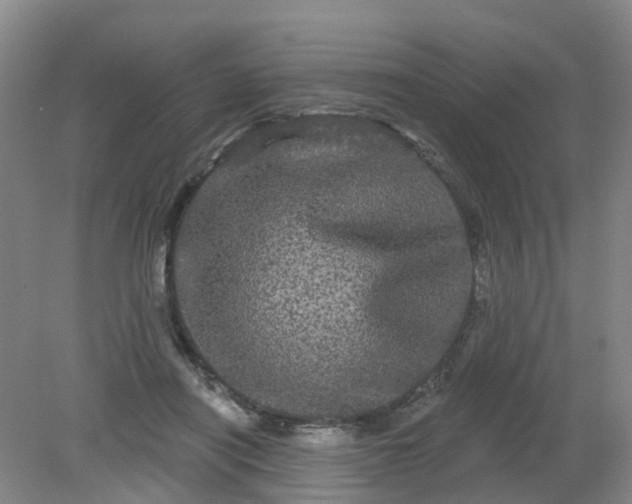 X0000079330454200612011912
