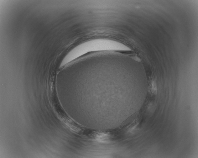 X0000079330456200612011912