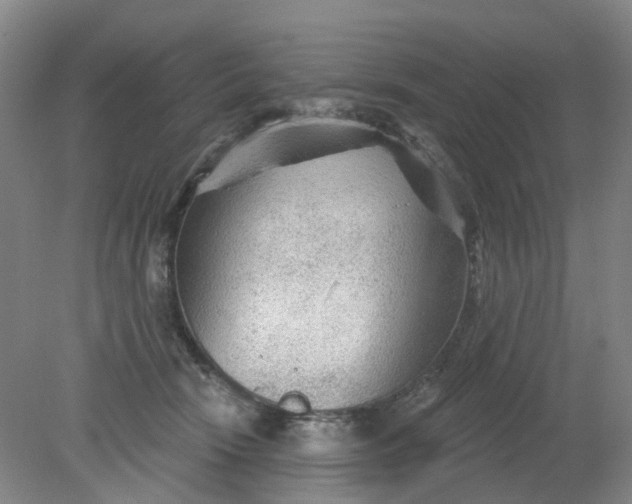X0000079330466200612011912