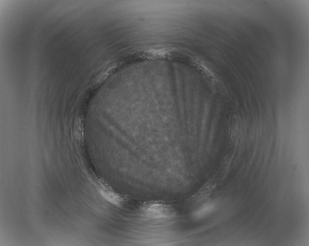 X0000079330467200612011912