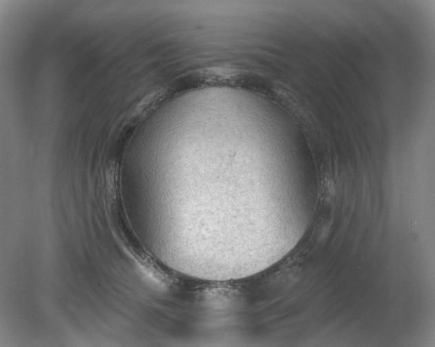 X0000079330468200612011912