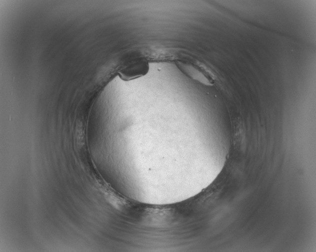 X0000079330469200612011912