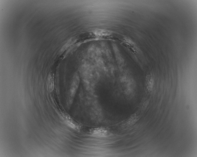 X0000079330471200612011912