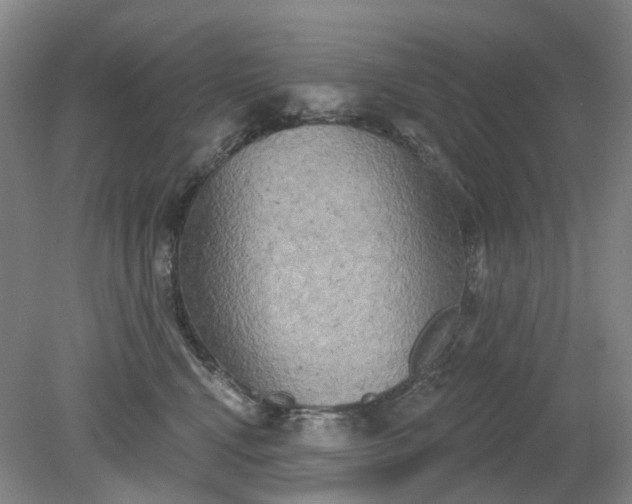 X0000079330472200612011912