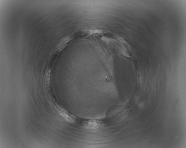X0000079330475200612011912