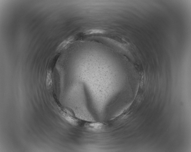 X0000079330478200612011913