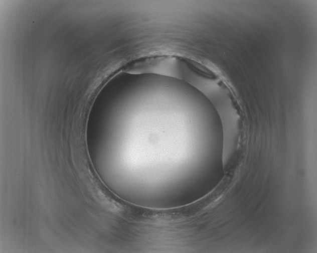 X0000079330481200612011912