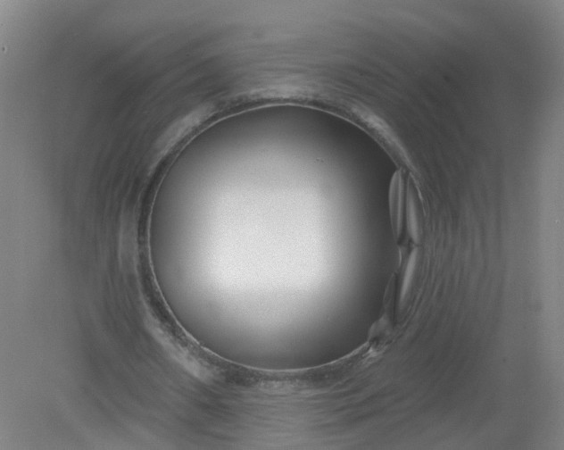 X0000079330482200612011912