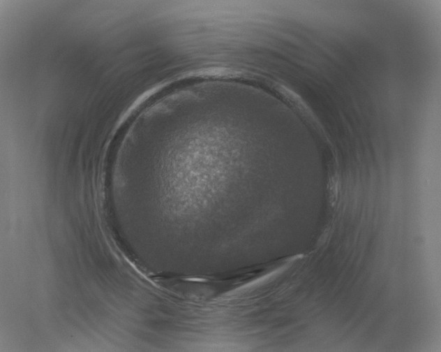 X0000079330484200612011912