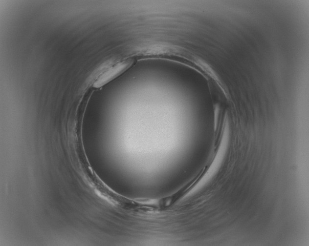 X0000079330485200612011912