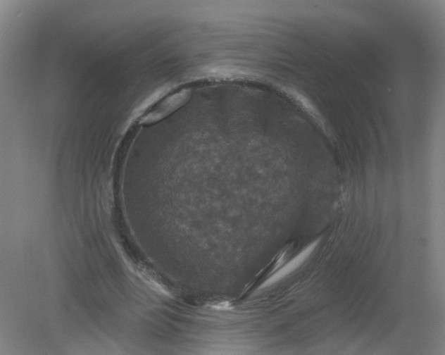 X0000079330488200612011912