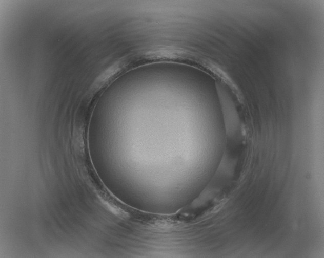 X0000079330489200612011912