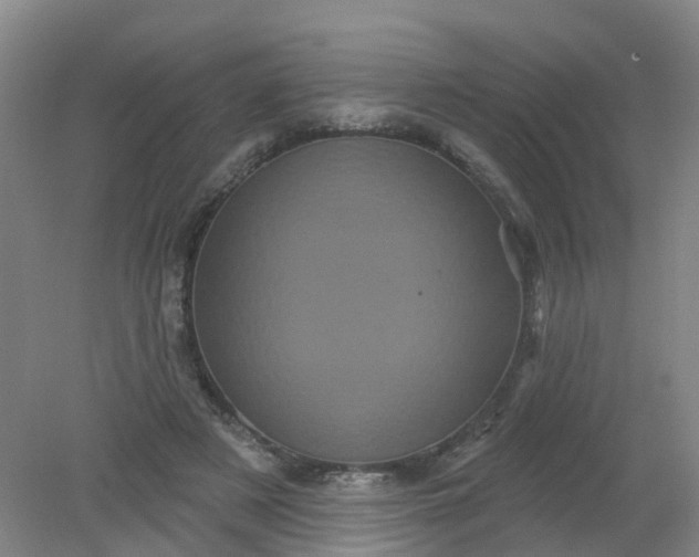 X0000079330497200612011911