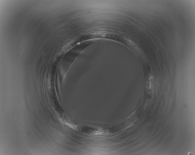 X0000079330504200612011911