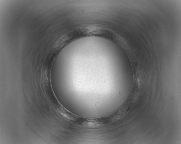X0000079330506200612011911