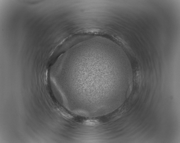 X0000079330508200612011911