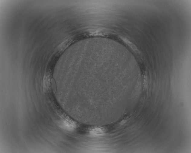 X0000079330513200612011911