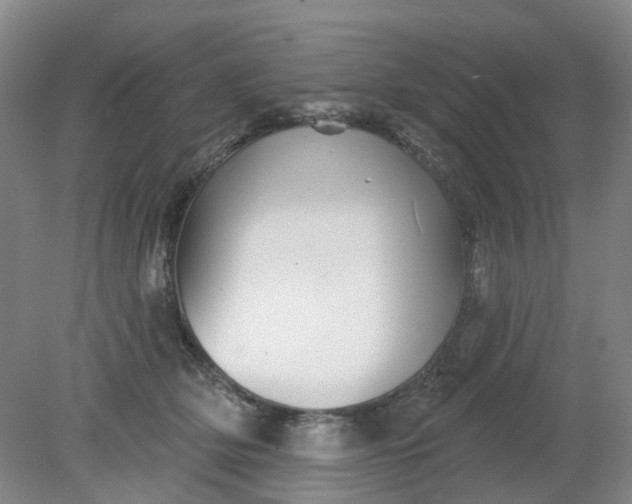 X0000079330514200612011911
