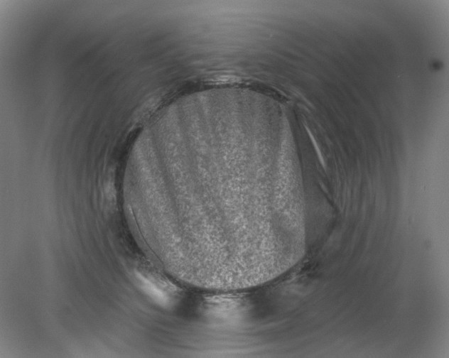 X0000079330516200612011911