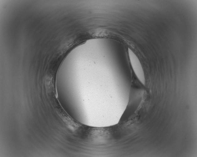 X0000079330521200612011911