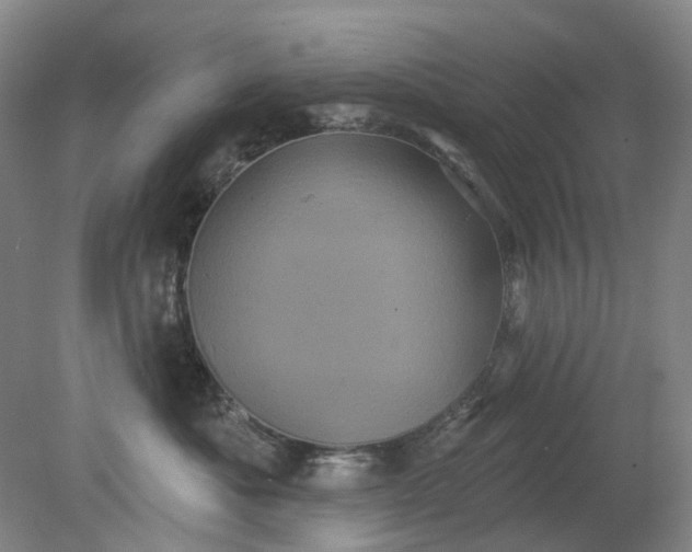 X0000079330525200612011911