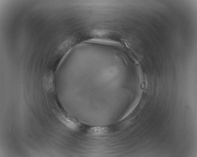 X0000079330526200612011911